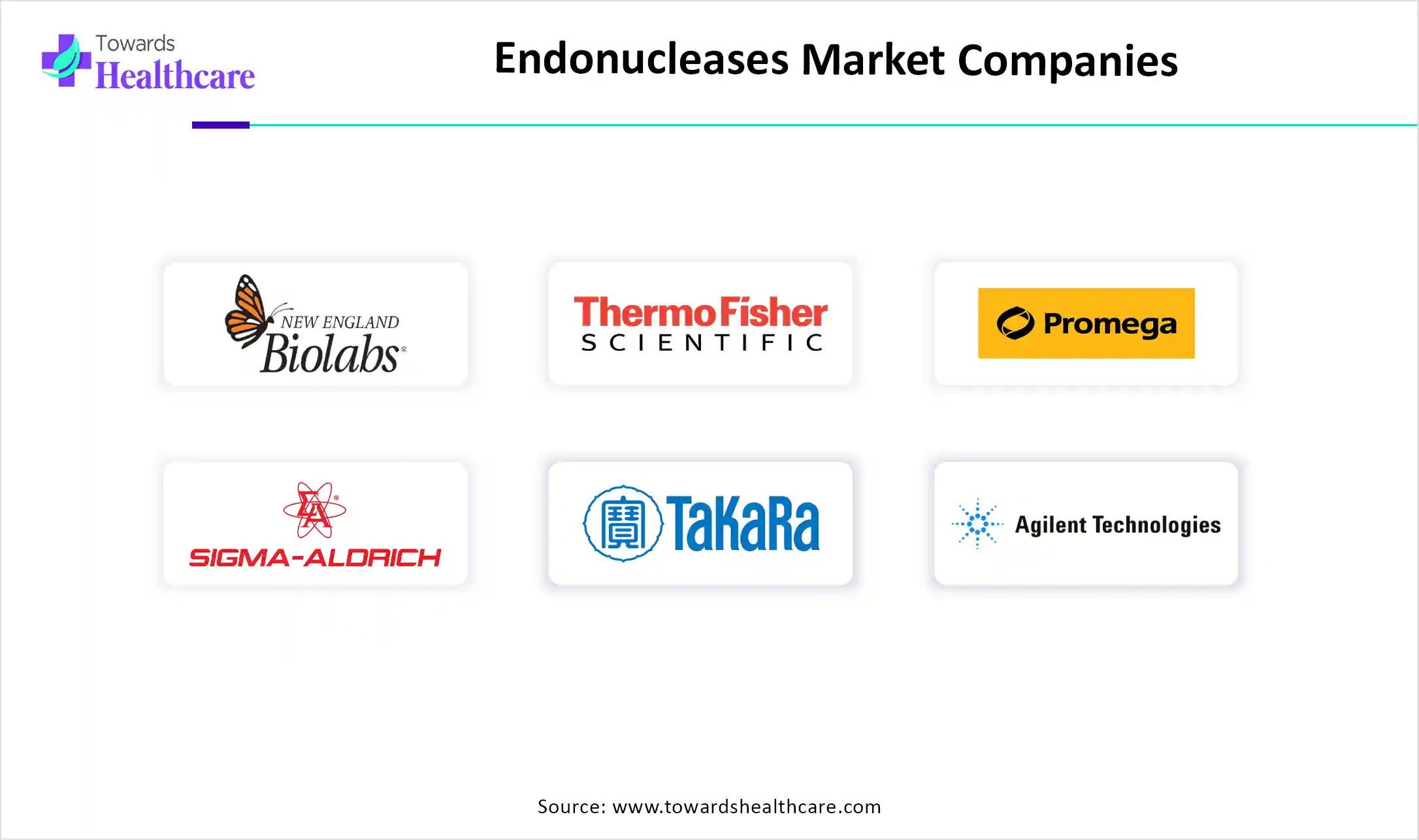 Endonucleases Market Companies Endonucleases Market Key Players