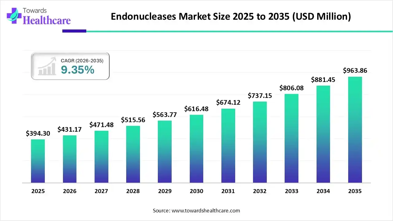 Endonucleases Market Size 2025 to 2035 Endonucleases Market Trends and Growth (2026)