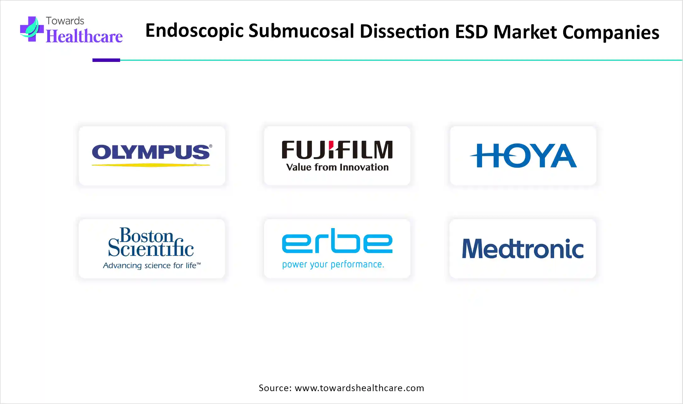 Endoscopic Submucosal Dissection ESD Market Top Key Players Endoscopic Submucosal Dissection ESD Market Companies