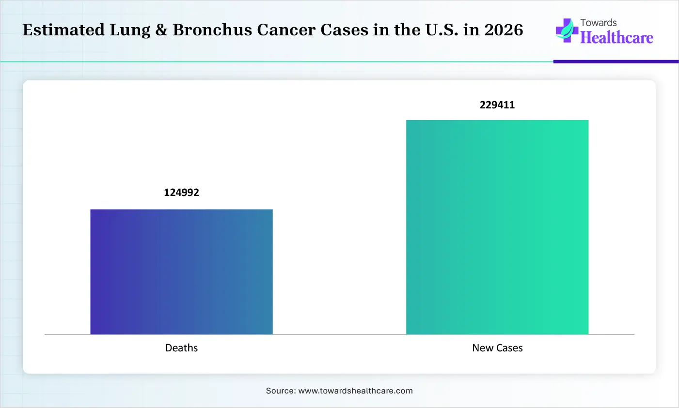 Estimated Lung & Bronchus Cancer Cases in the U.S. in 2026 Estimated Lung & Bronchus Cancer Cases in the U.S. in 2026