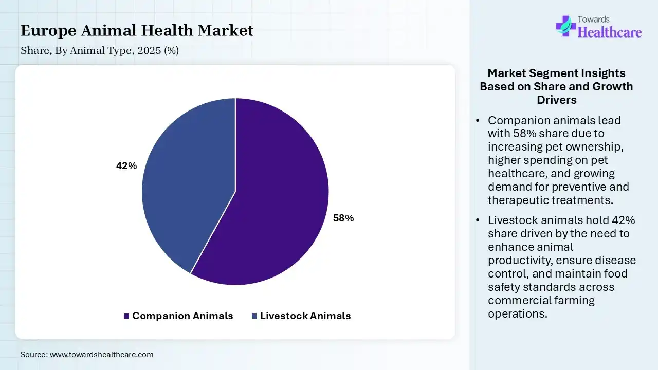 Europe Animal Health Market Share, By Animal Type, 2025 (%) Europe Animal Health Market By Animal Type, (Companion Animals) Segment Dominates by 58% in 2025.