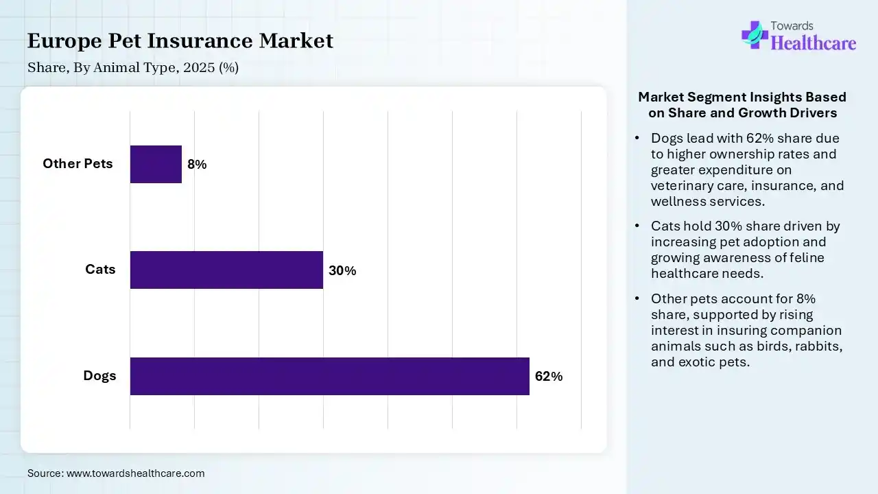 Europe Pet Insurance Market Share, By Animal Type, 2025 (%) Europe Pet Insurance Market By Animal Type, (Dogs) Segment Dominates by 62% in 2025.