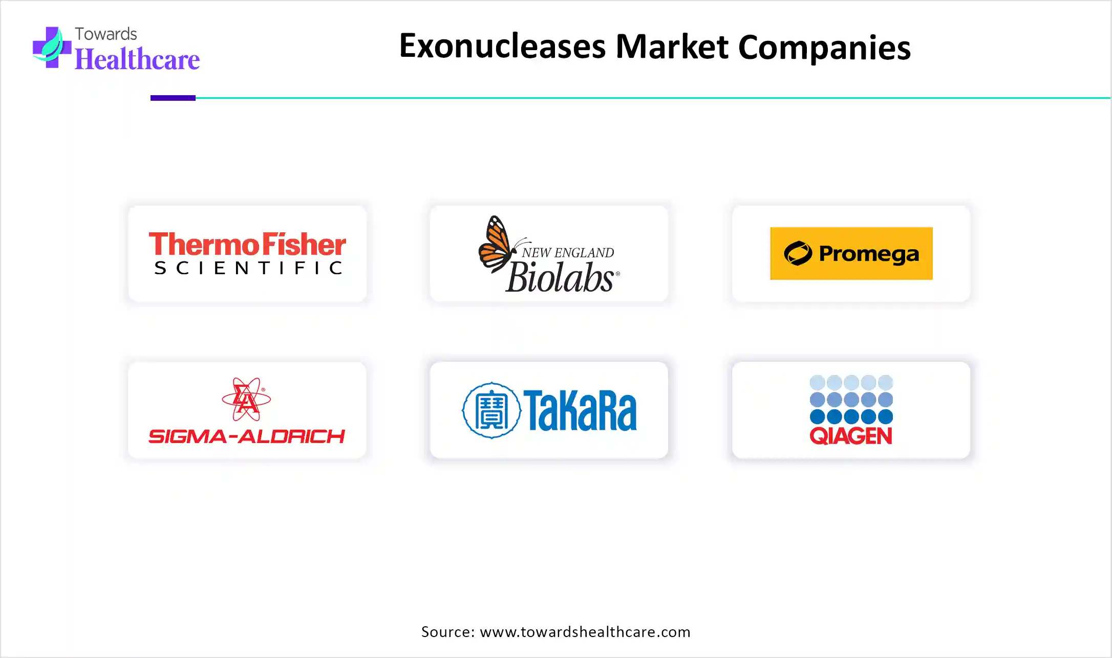 Exonucleases Market Key Players