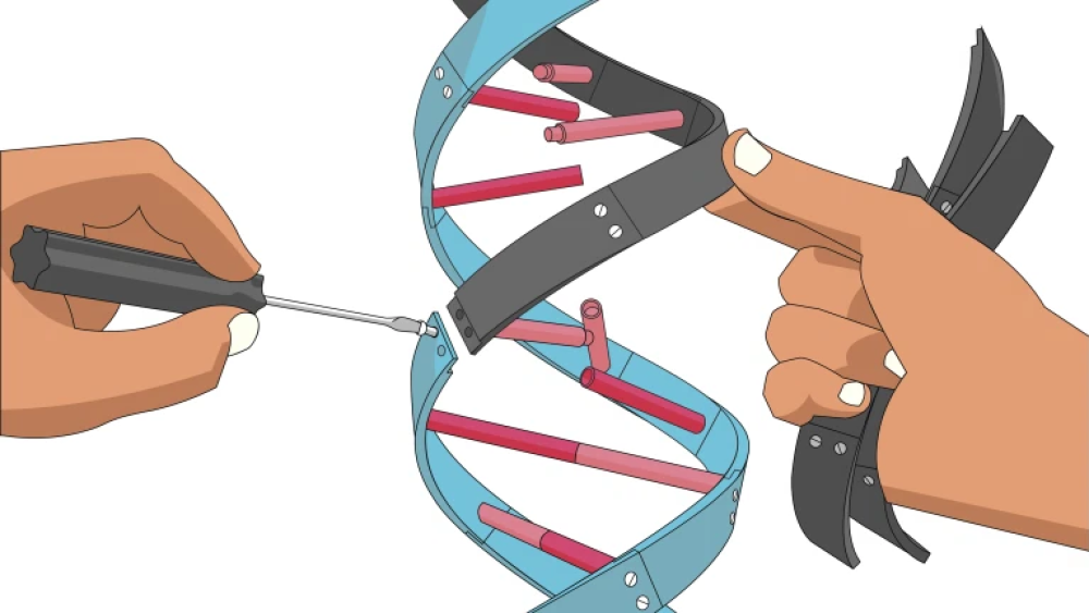 FDA Pledges Support to Speed Up Gene Therapy Approvals Amid Industry Challenges FDA Pledges Support to Speed Up Gene Therapy Approvals Amid Industry Challenges