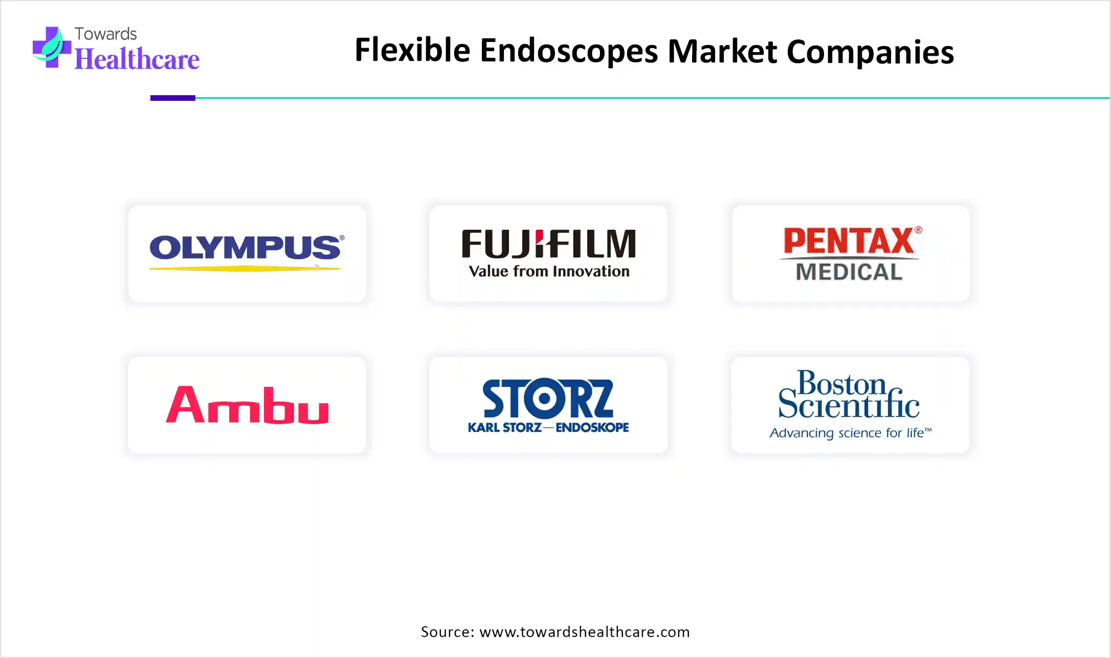 Flexible Endoscopes Market Top Key Players Flexible Endoscopes Market Companies