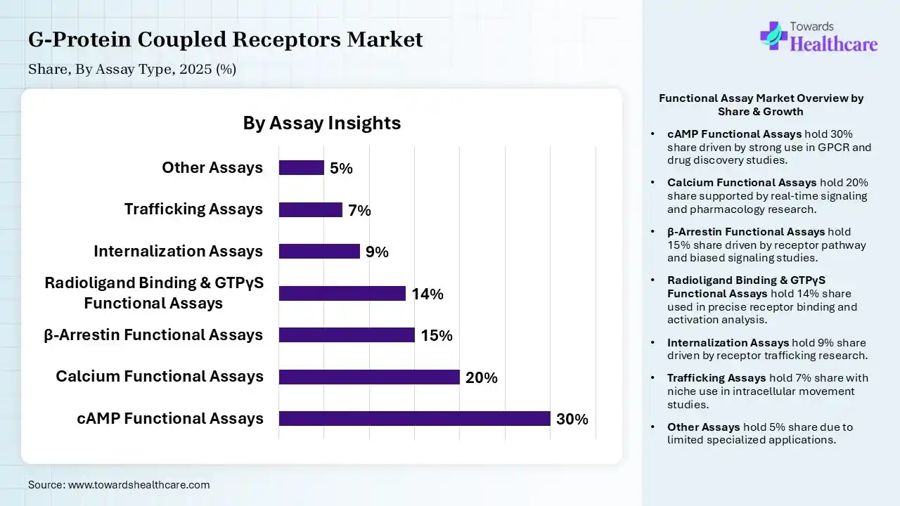 G-Protein Coupled Receptors Market, By Assay, (cAMP Functional Assays) Segment Dominates by 30% in 2025.