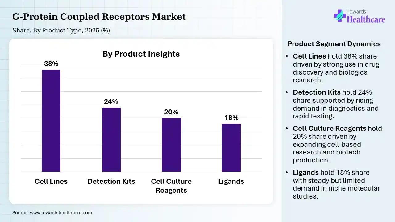 G-Protein Coupled Receptors Market, By Product, (Cell Lines) Segment Dominates by 38% in 2025.