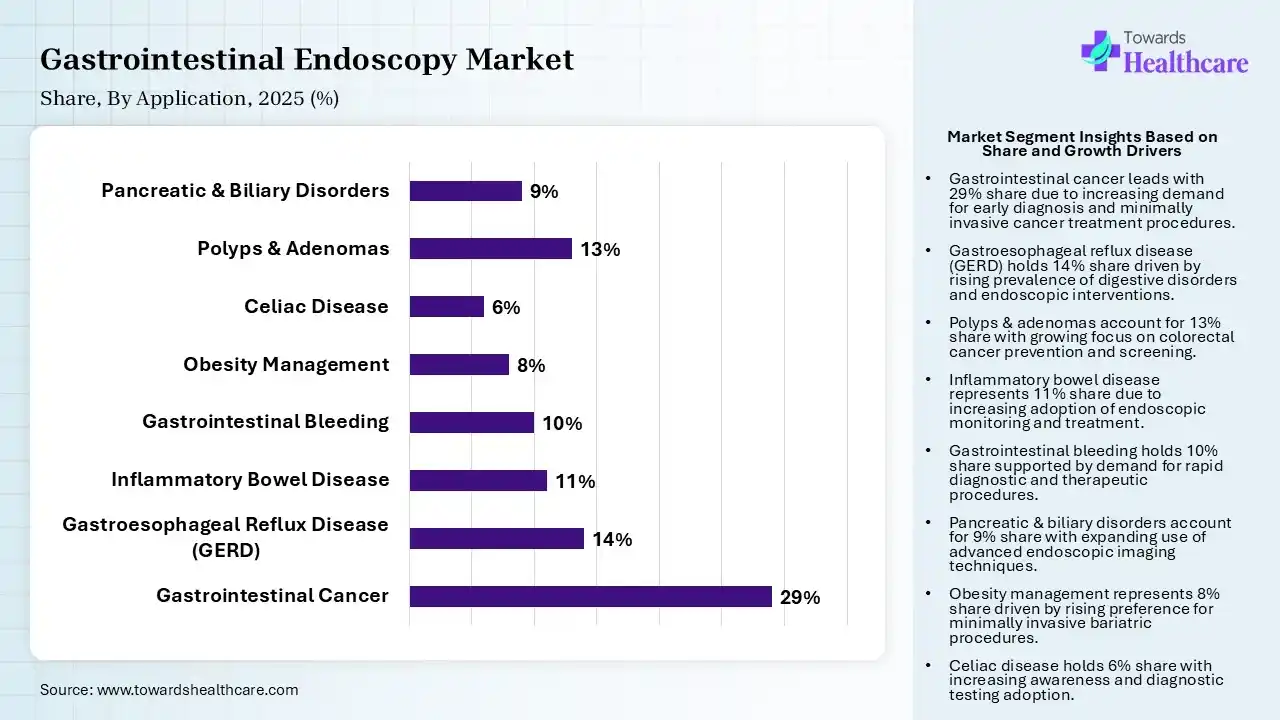Gastrointestinal Endoscopy Market Share, By Application, 2025 (%) Gastrointestinal Endoscopy Market By Application, (Gastrointestinal Cancer) Segment Dominates by 29% in 2025.