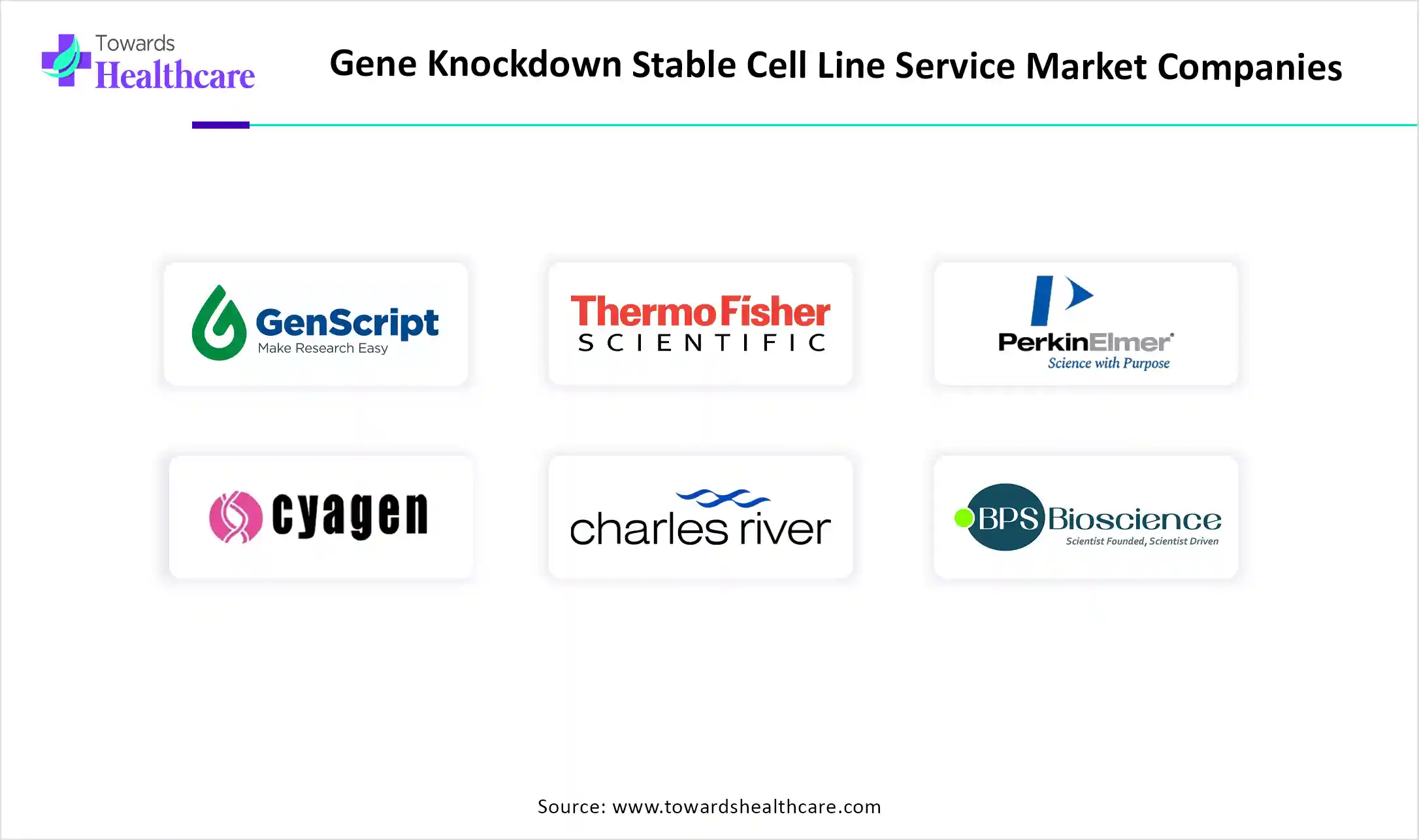 Gene Knockdown Stable Cell Line Service Market Companies
