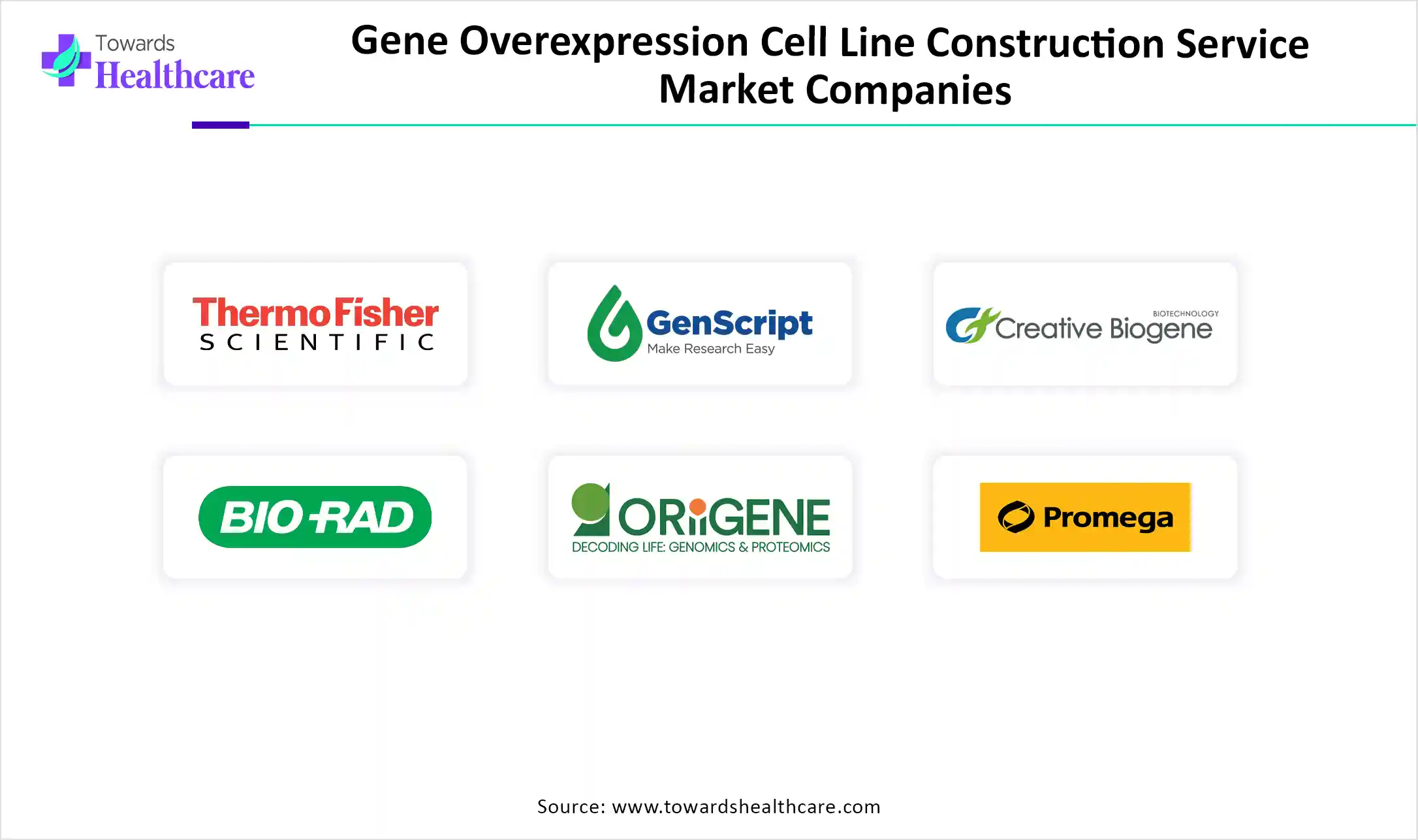 Gene Overexpression Cell Line Construction Service Market Companies