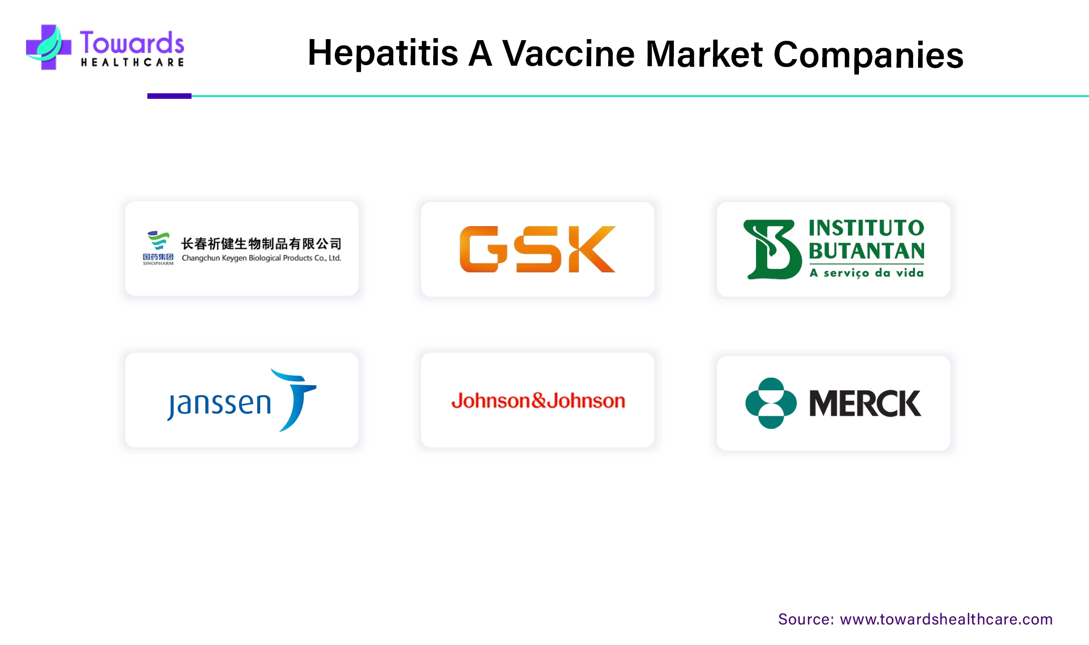 Hepatitis A Vaccine Market Companies Hepatitis A Vaccine Market Companies