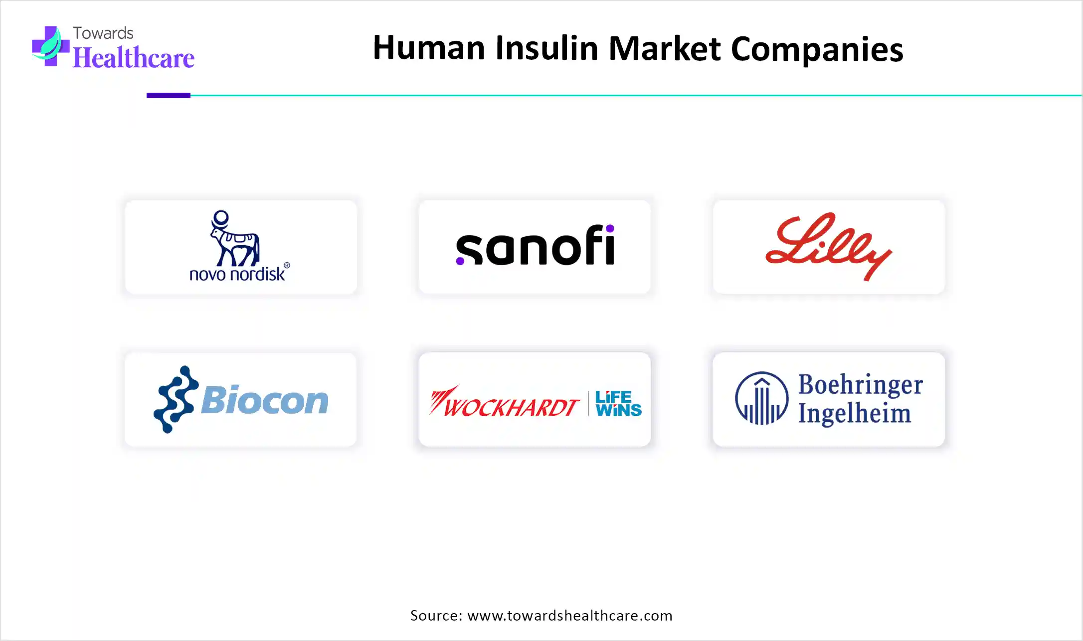 Human Insulin Market Companies Human Insulin Market Key Players