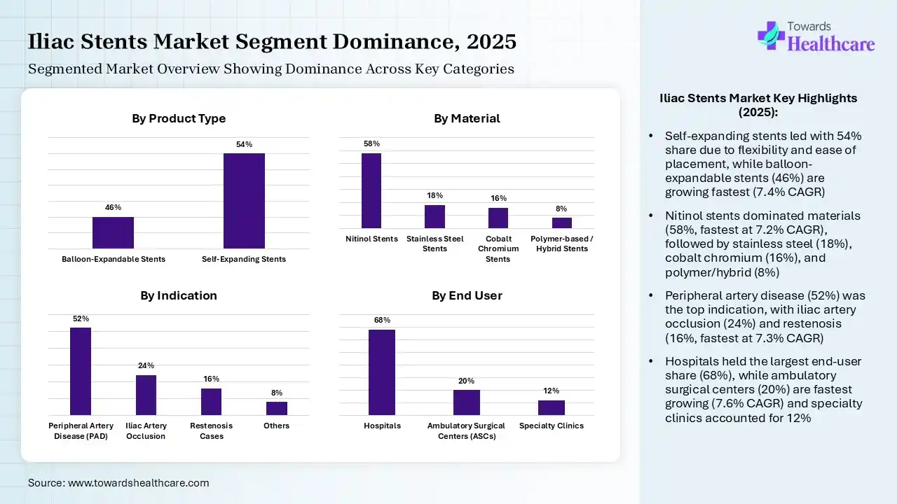 Iliac Stents Market Segmentation