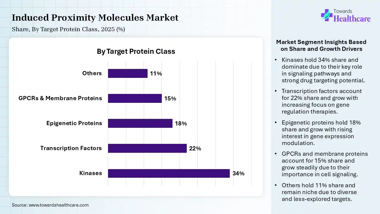 Induced Proximity Molecules Market Share, By Target Protein Class, 2025 (%) Induced Proximity Molecules Market By Target Protein Class, (Kinases) Segment Dominates by 34% in 2025.