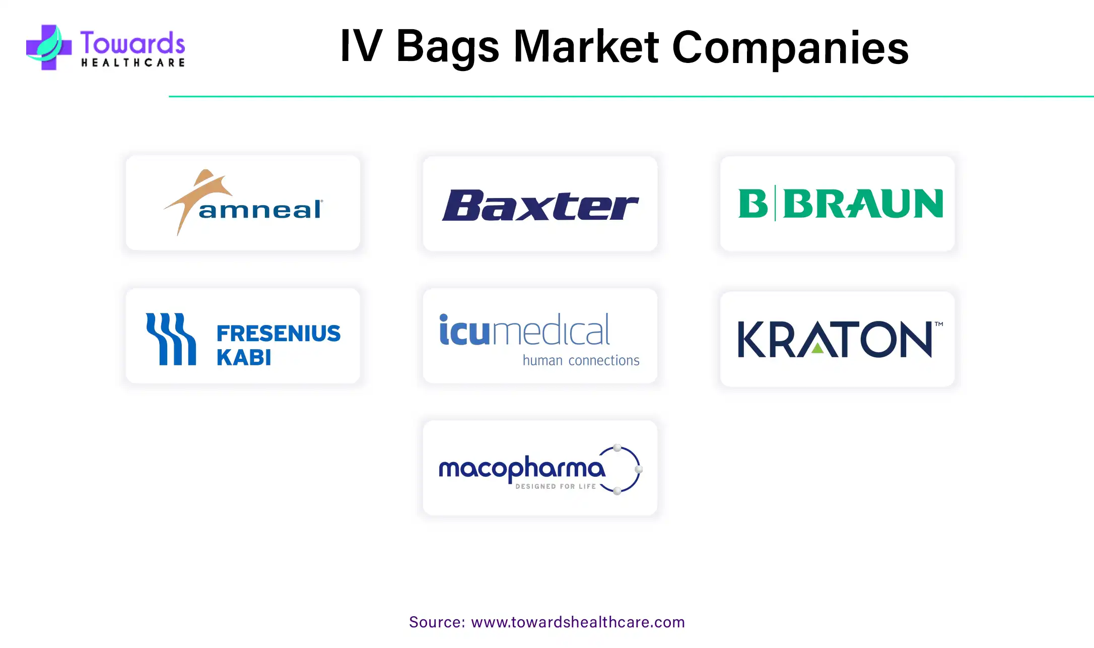 IV Bags Market Companies IV Bags Market Companies