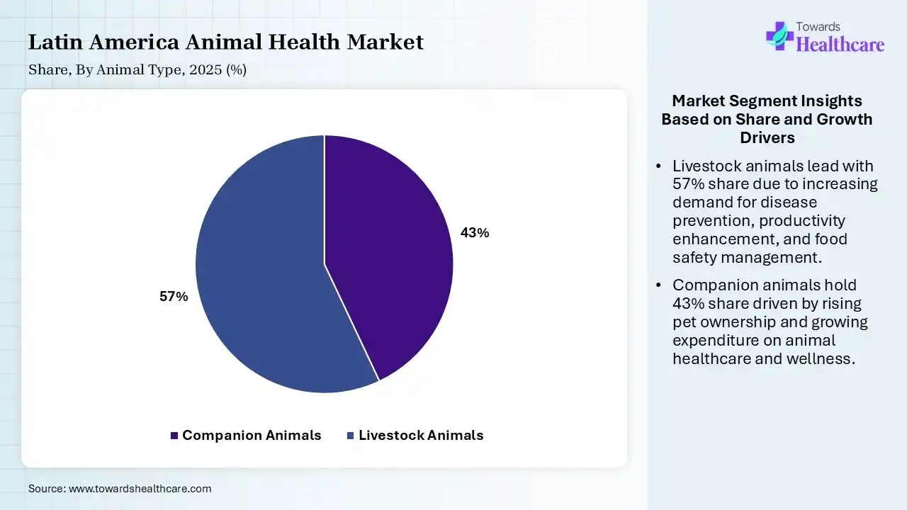 Latin America Animal Health Market Share, By Animal Type, 2025 (%) Latin America Animal Health Market By Animal Type, (Companion Animals) Segment Dominates by 43% in 2025.