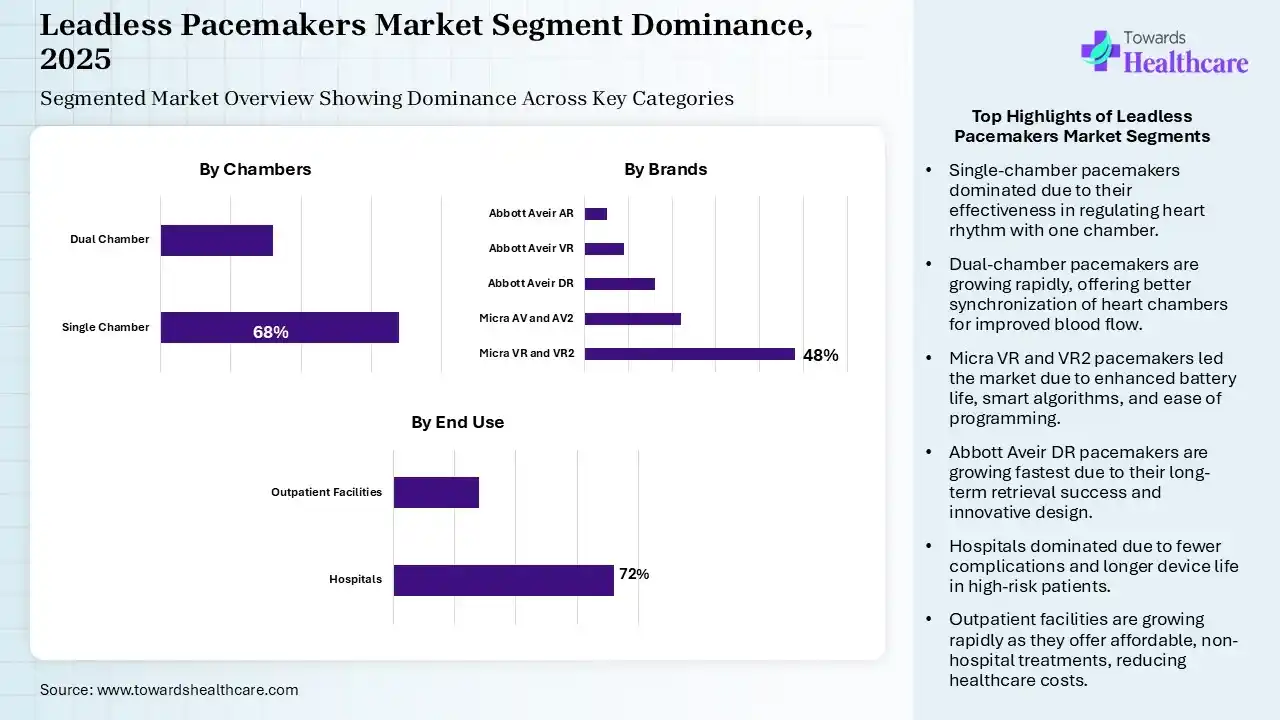 Leadless Pacemakers Market Segmentation Leadless Pacemakers Market Segmentation