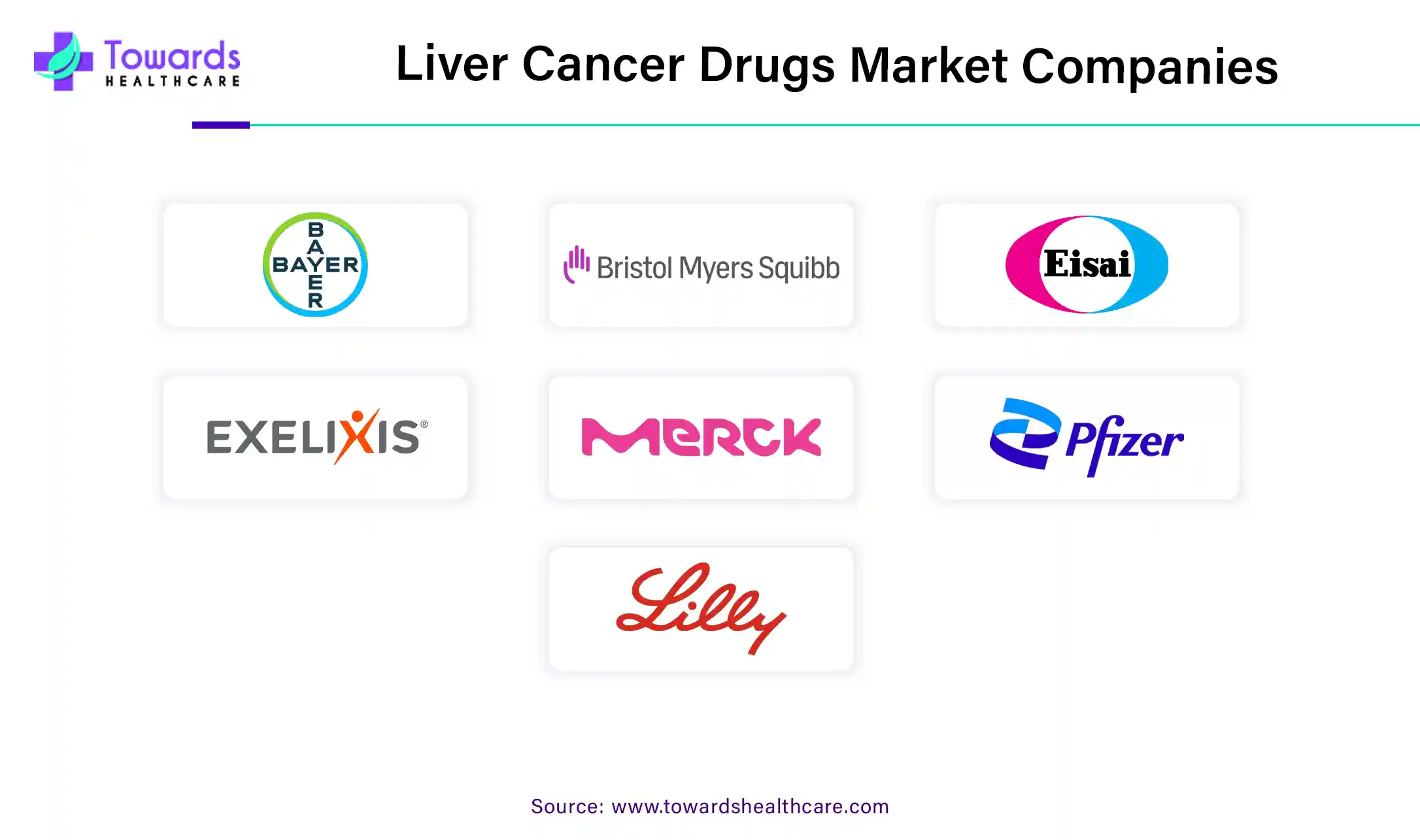 Liver Cancer Drugs Market Companies Liver Cancer Drugs Market Companies