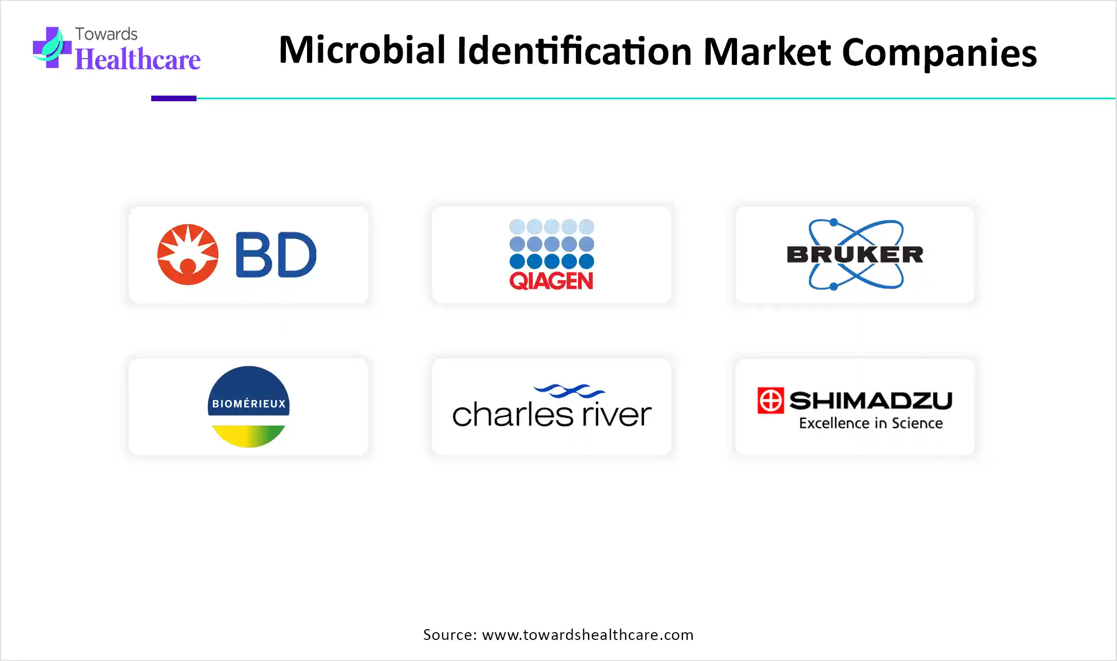 Microbial Identification Market Companies Microbial Identification Market Companies