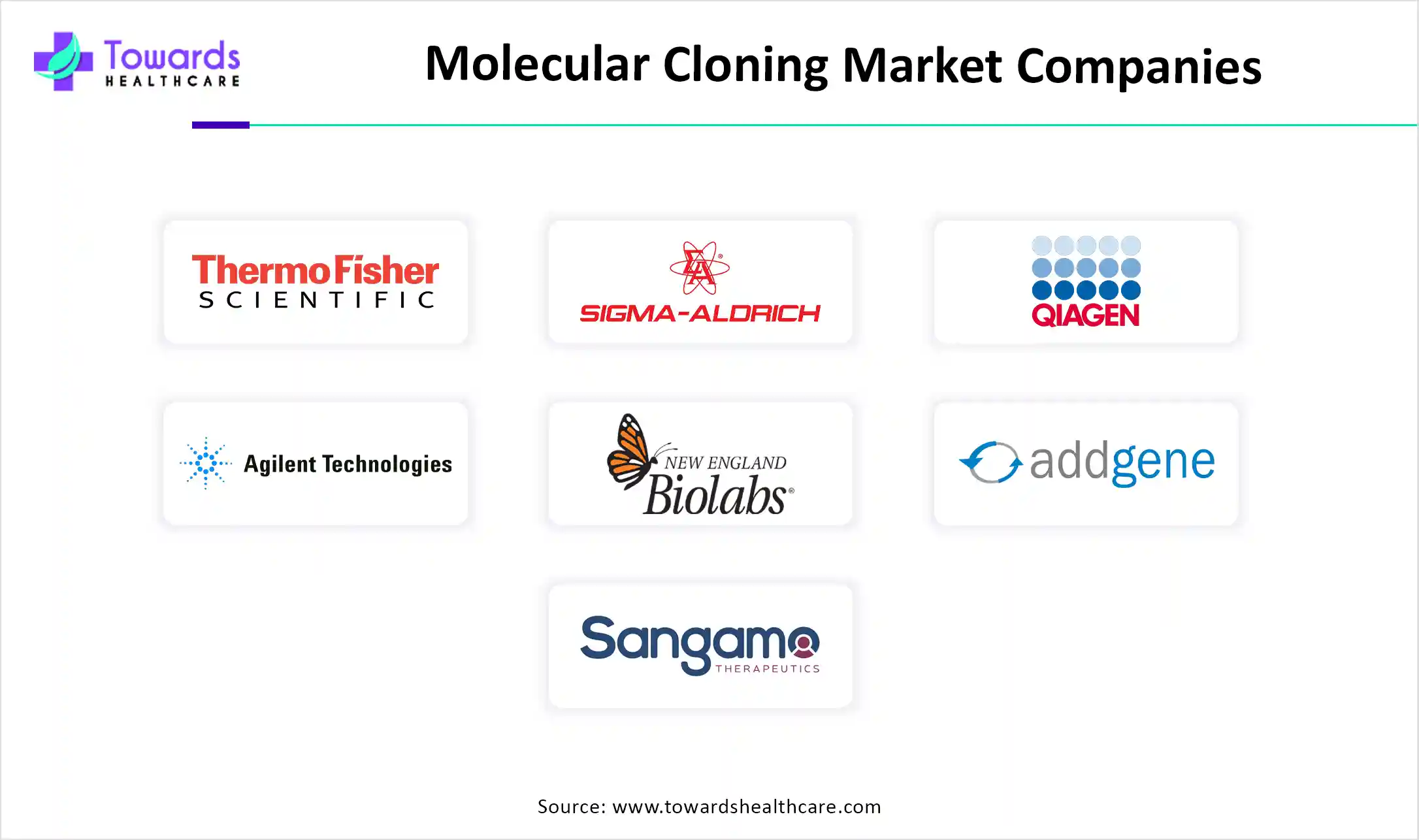 Molecular Cloning Market Companies Molecular Cloning Market Companies
