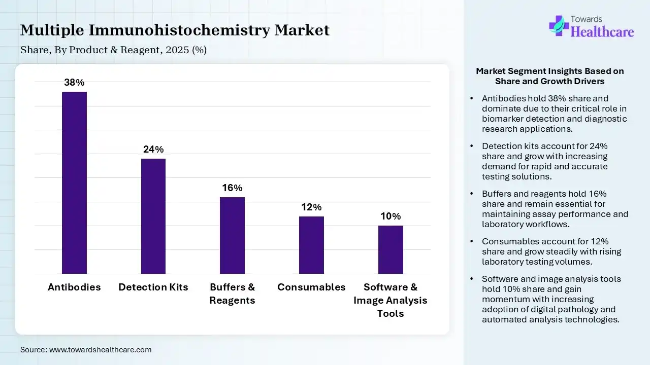 Multiple Immunohistochemistry Market By Product & Reagent, (Antibodies) Segment Dominates by 38% in 2025.
