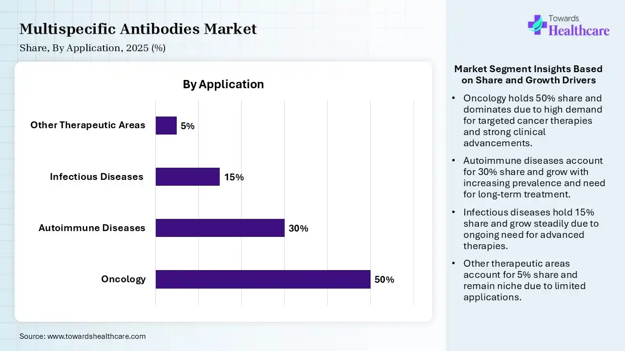 Multispecific Antibodies Market Share, By Application, 2025 (%) Multispecific Antibodies Market By Application, (Oncology) Segment Dominates by 50% in 2025