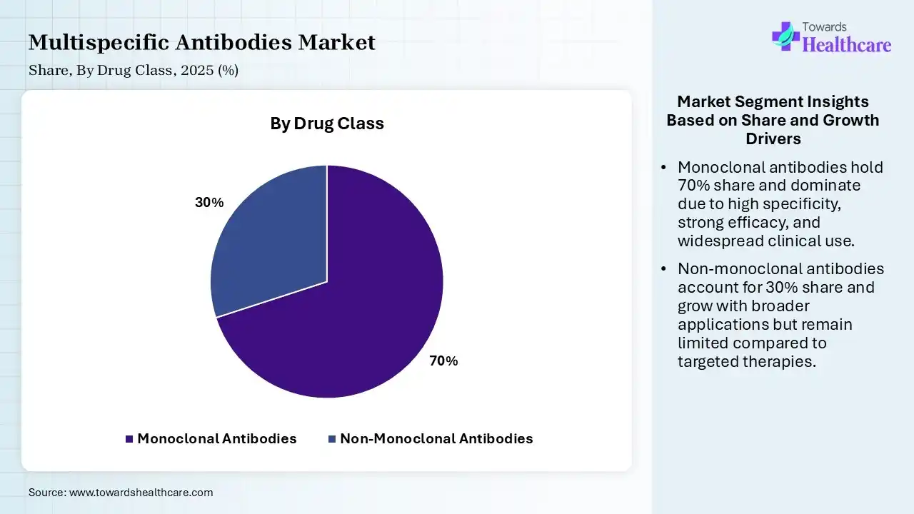 Multispecific Antibodies Market Share, By Drug Class, 2025 (%) Multispecific Antibodies Market By Drug Class, (Monoclonal Antibodies) Segment Dominates by 70% in 2025.
