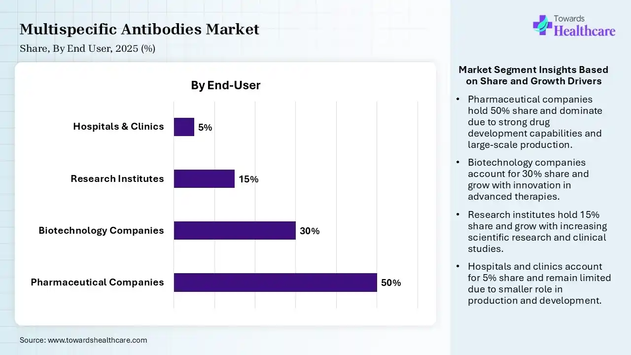 Multispecific Antibodies Market Share, By End User, 2025 (%) Multispecific Antibodies Market By End User, (Pharmaceutical Companies) Segment Dominates by 50% in 2025
