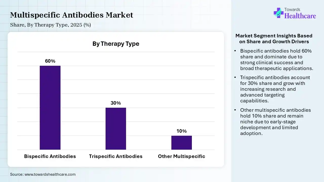 Multispecific Antibodies Market Share, By Therapy Type, 2025 (%) Multispecific Antibodies Market By Therapy Type, (Bispecific Antibodies) Segment Dominates by 60% in 2025