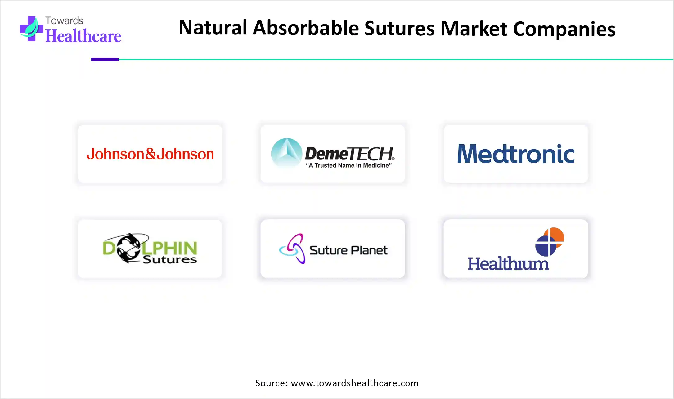 Natural Absorbable Sutures Market Key Players