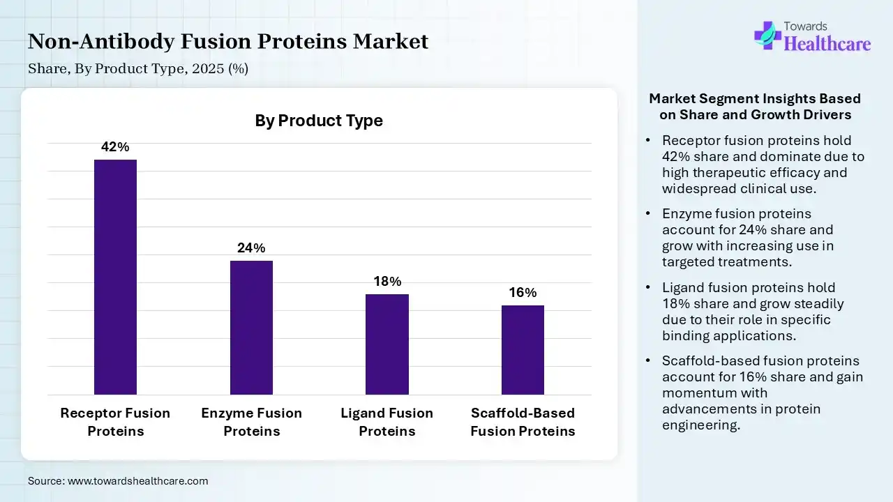 Non-Antibody Fusion Proteins Market Share, By Product Type, 2025 (%) Non-Antibody Fusion Proteins Market By Product Type, Receptor Fusion Proteins) Segment Dominates by 42% in 2025.