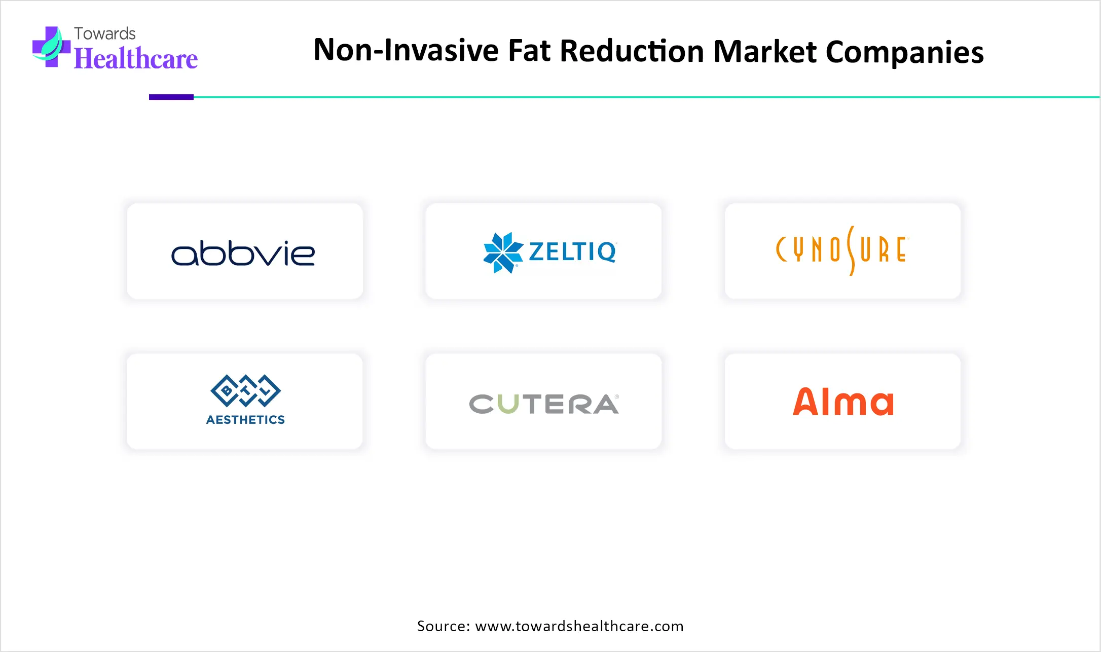 Non-Invasive Fat Reduction Market Companies