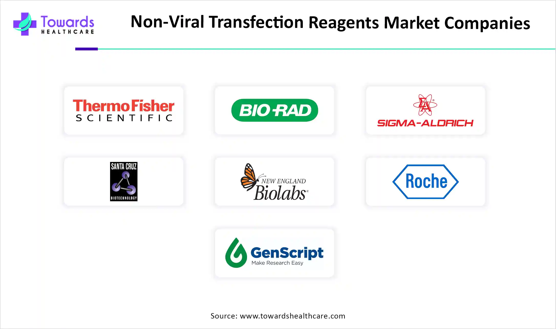 Non-Viral Transfection Reagents Market Companies