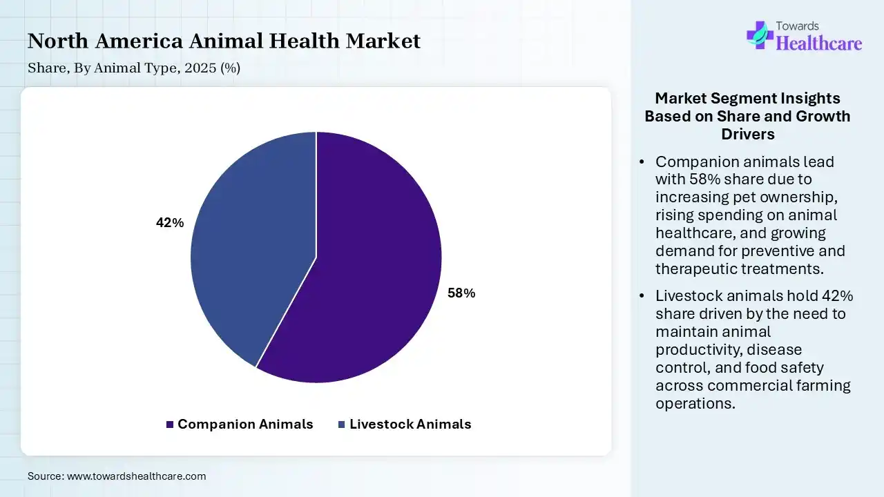 North America Animal Health Market Share, By Animal Type, 2025 (%) North America Animal Health Market By Animal Type, (Companion Animals) Segment Dominates by 58% in 2025.