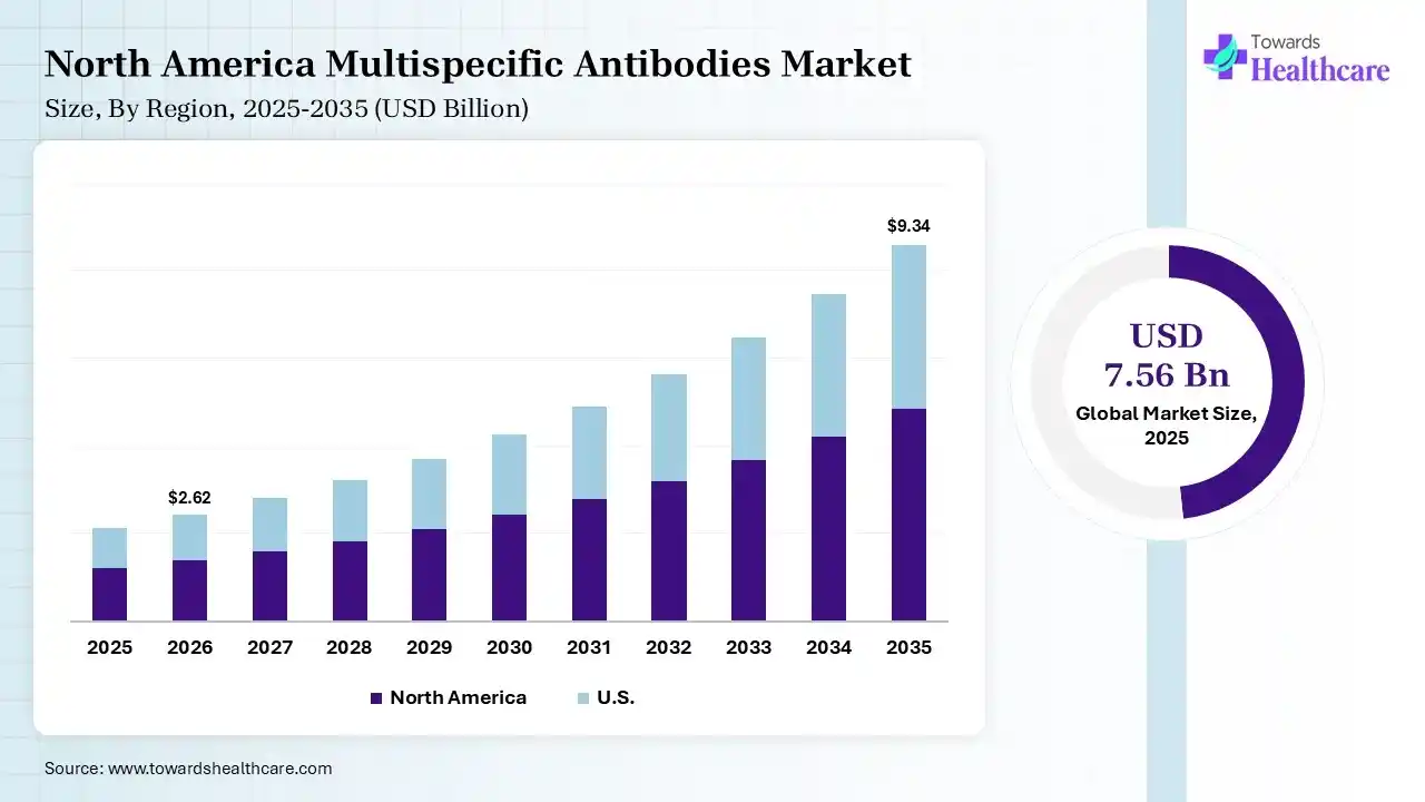 North America Multispecific Antibodies Market Growth Multispecific Antibodies Market Size is USD 2.62 Billion in 2026.