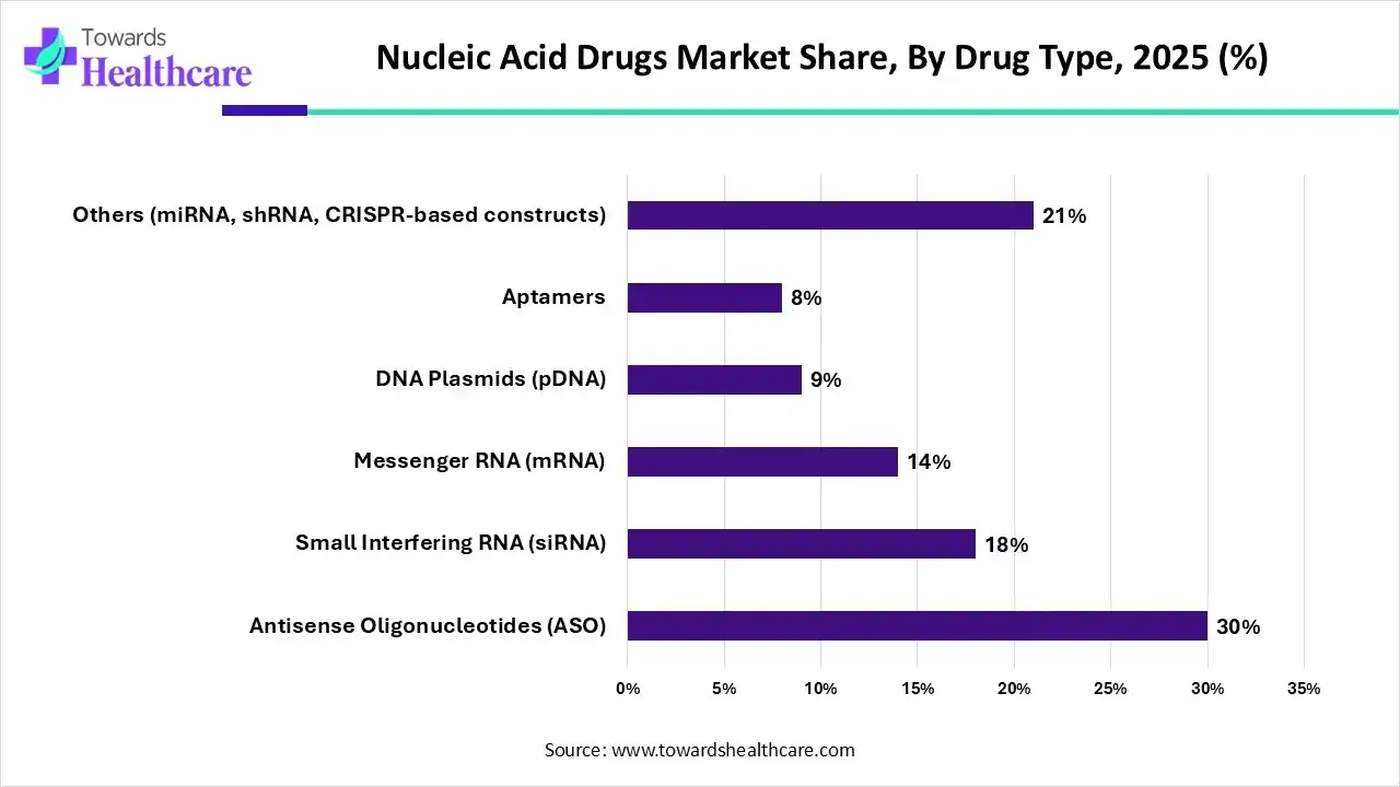 Nucleic Acid Drugs Market Share, By Drug Type, 2025 (%) Nucleic Acid Drugs Market By Drug Type, (Antisense Oligonucleotides (ASO)) Segment Dominates by 30% in 2025.