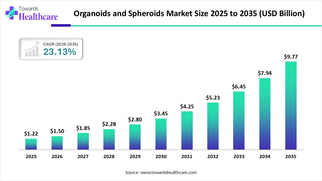 Organoids and Spheroids Market Size 2023 - 2034