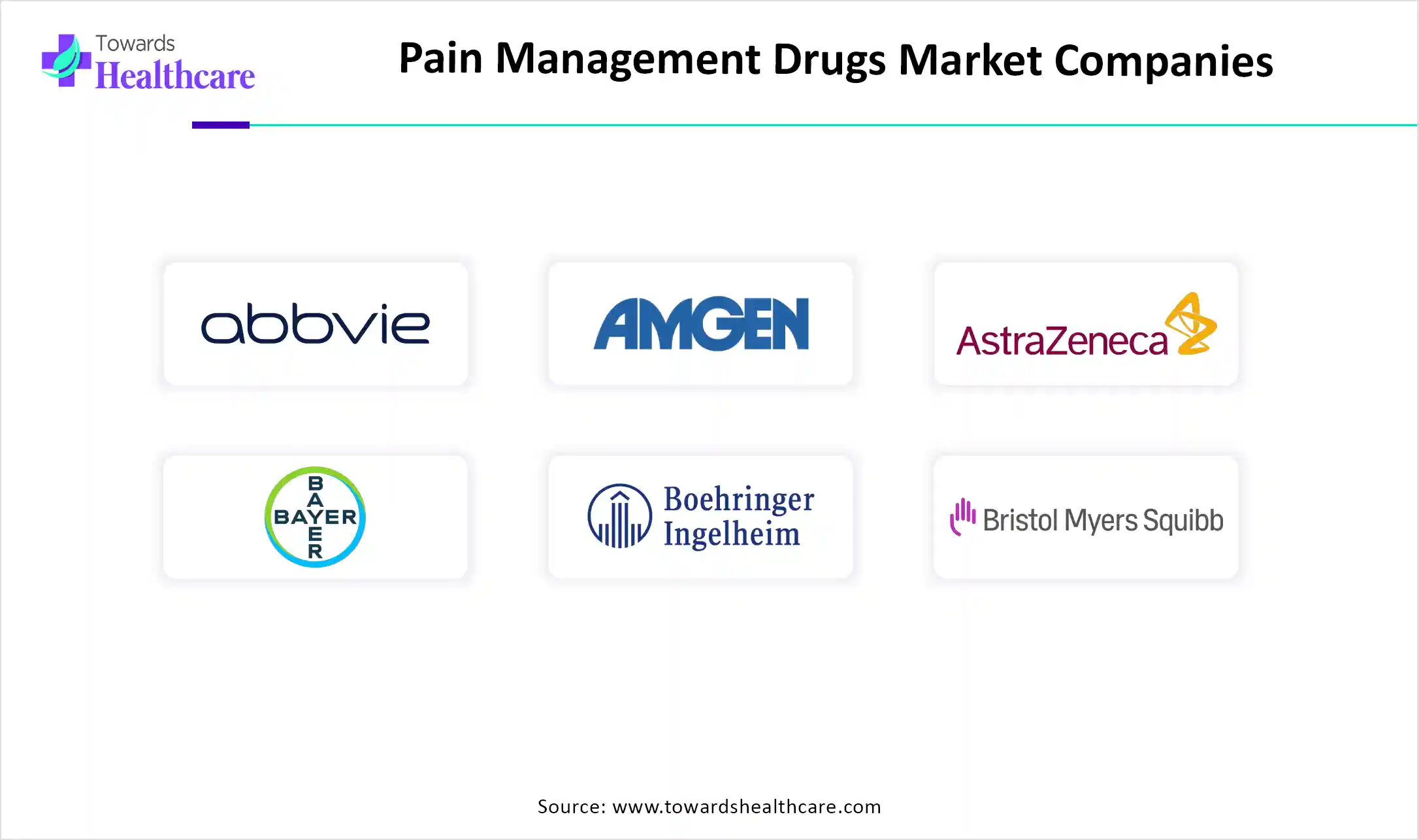 Pain Management Drugs Market Top Key Players Pain Management Drugs Market Companies