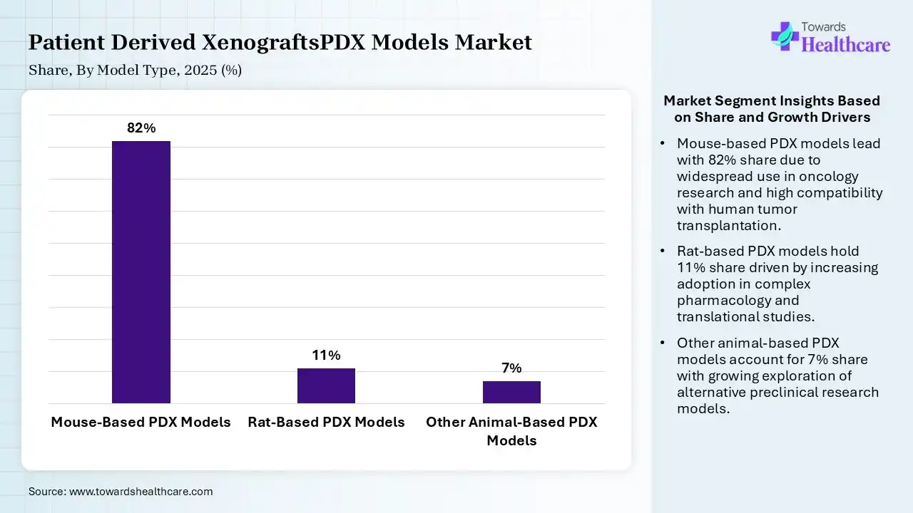 Patient Derived XenograftsPDX Models Market Share, By Model Type, 2025 (%) Patient Derived XenograftsPDX Models Market By Model Type, (Mouse-Based PDX Models) Segment Dominates by 82% in 2025.