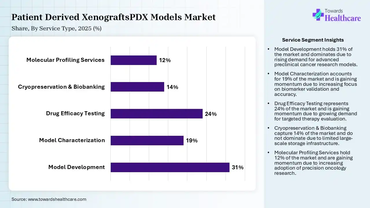 Patient Derived XenograftsPDX Models Market Share, By Service Type, 2025 (%) Patient Derived XenograftsPDX Models Market By Service Type, (Model Development) Segment Dominates by 31% in 2025.