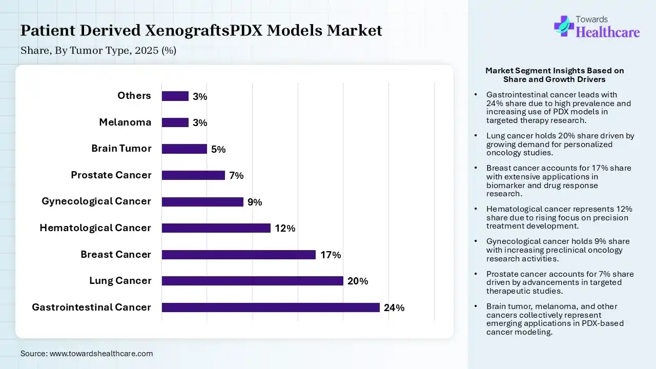 Patient Derived XenograftsPDX Models Market Share, By Tumor Type, 2025 (%) Patient Derived XenograftsPDX Models Market By Tumor Type, (Gastrointestinal Cancer) Segment Dominates by 24% in 2025.