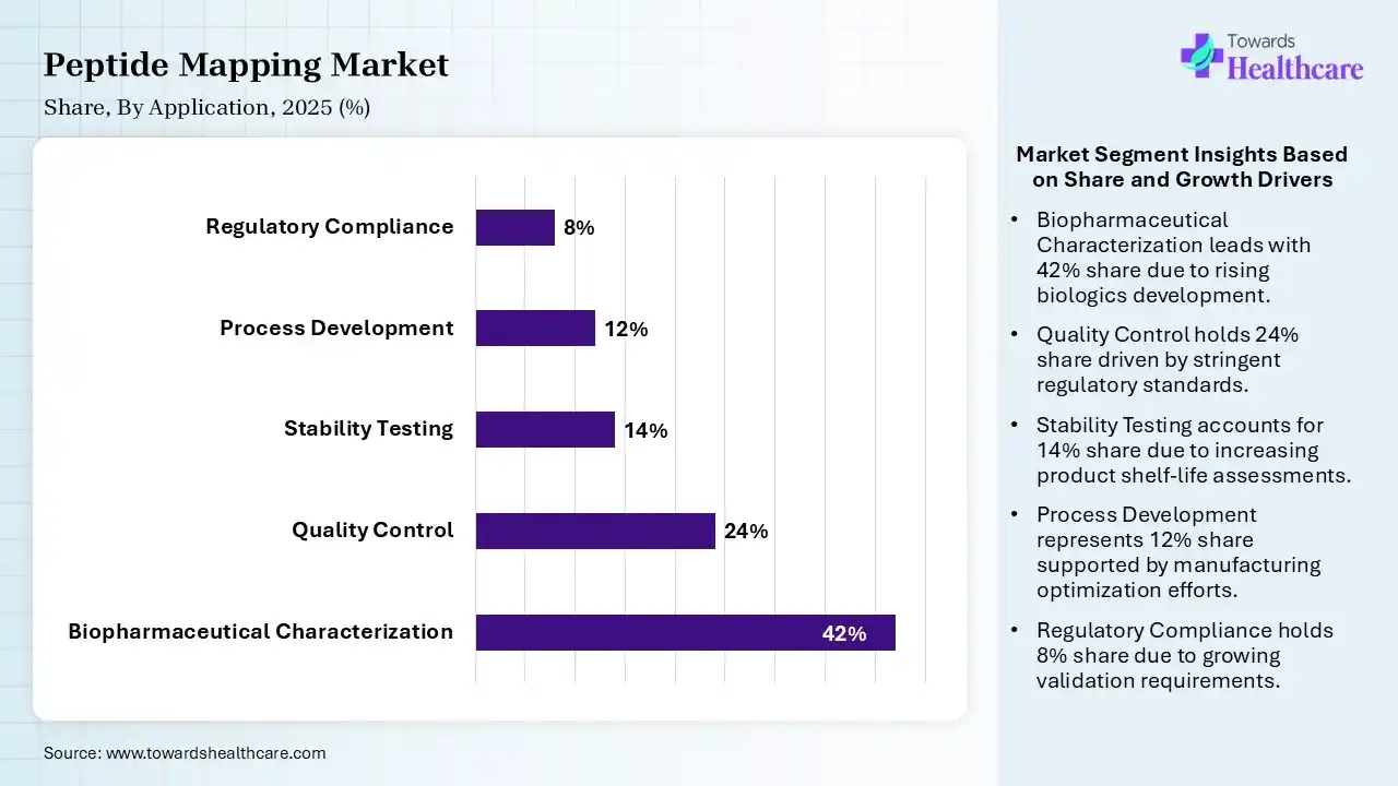 Peptide Mapping Market Share, By Application, 2025 (%) Peptide Mapping Market By Application, (Biopharmaceutical Characterization) Segment Dominates by 42% in 2025.