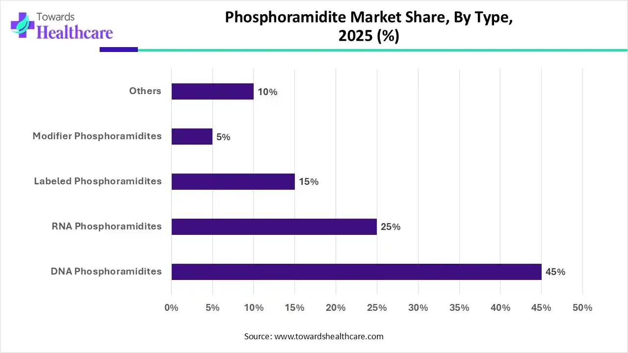 Phosphoramidite Market Share, By Type, 2025 (%) Phosphoramidite Market Share, By Type, 2025 (%)