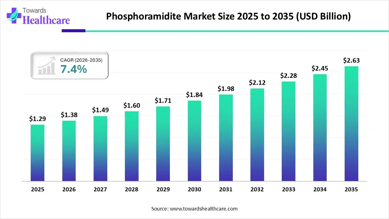 Phosphoramidite Market Size 2025 to 2035 Phosphoramidite Market Trends and Growth (2026)