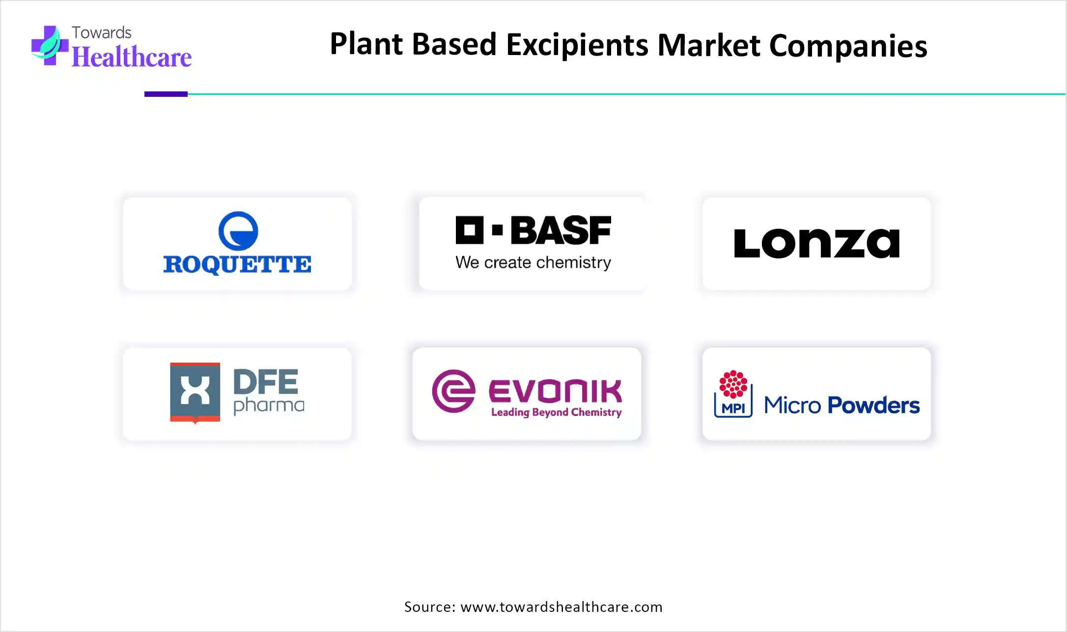 Plant Based Excipients Market Key Players