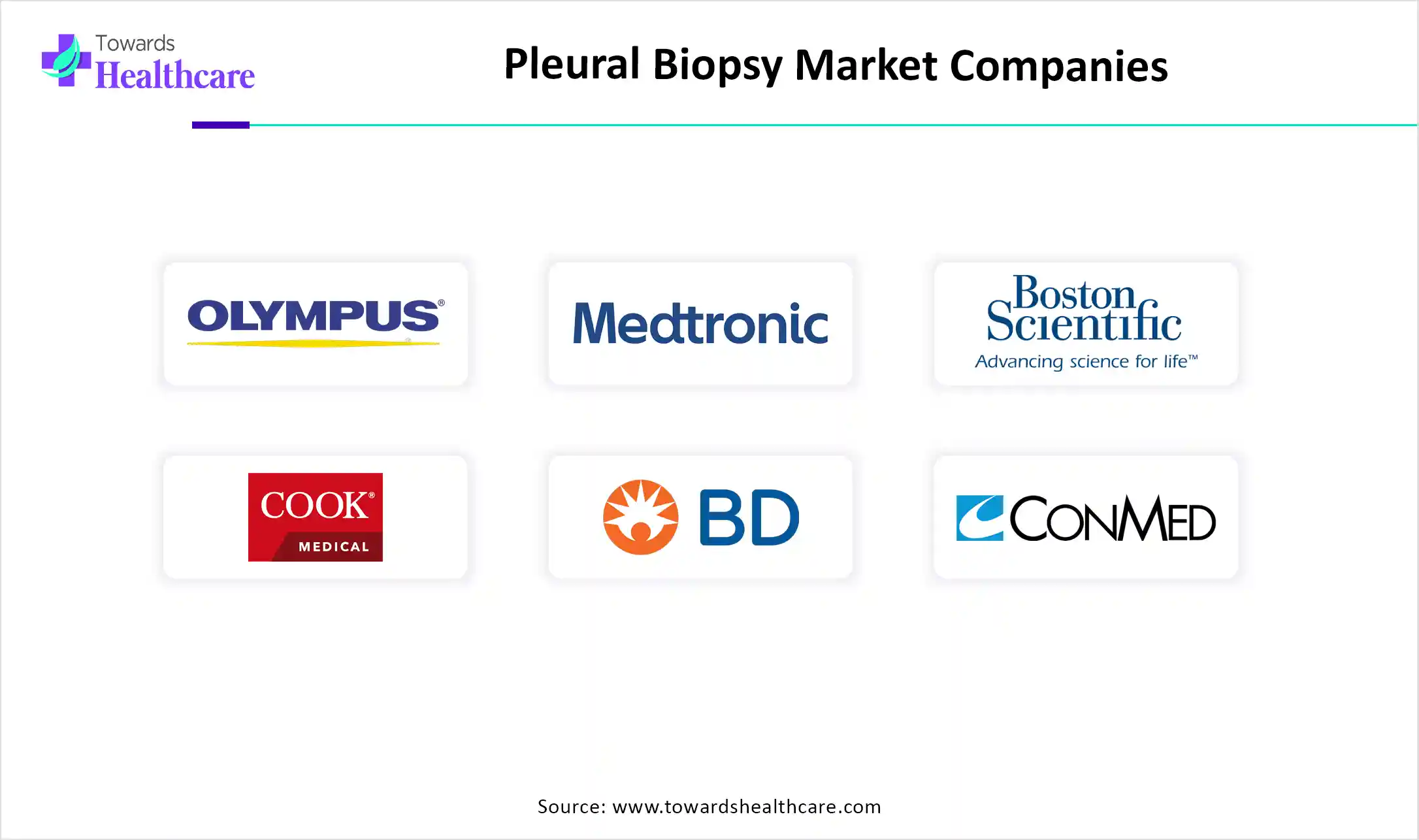 Pleural Biopsy Market Top Key Players Pleural Biopsy Market Companies