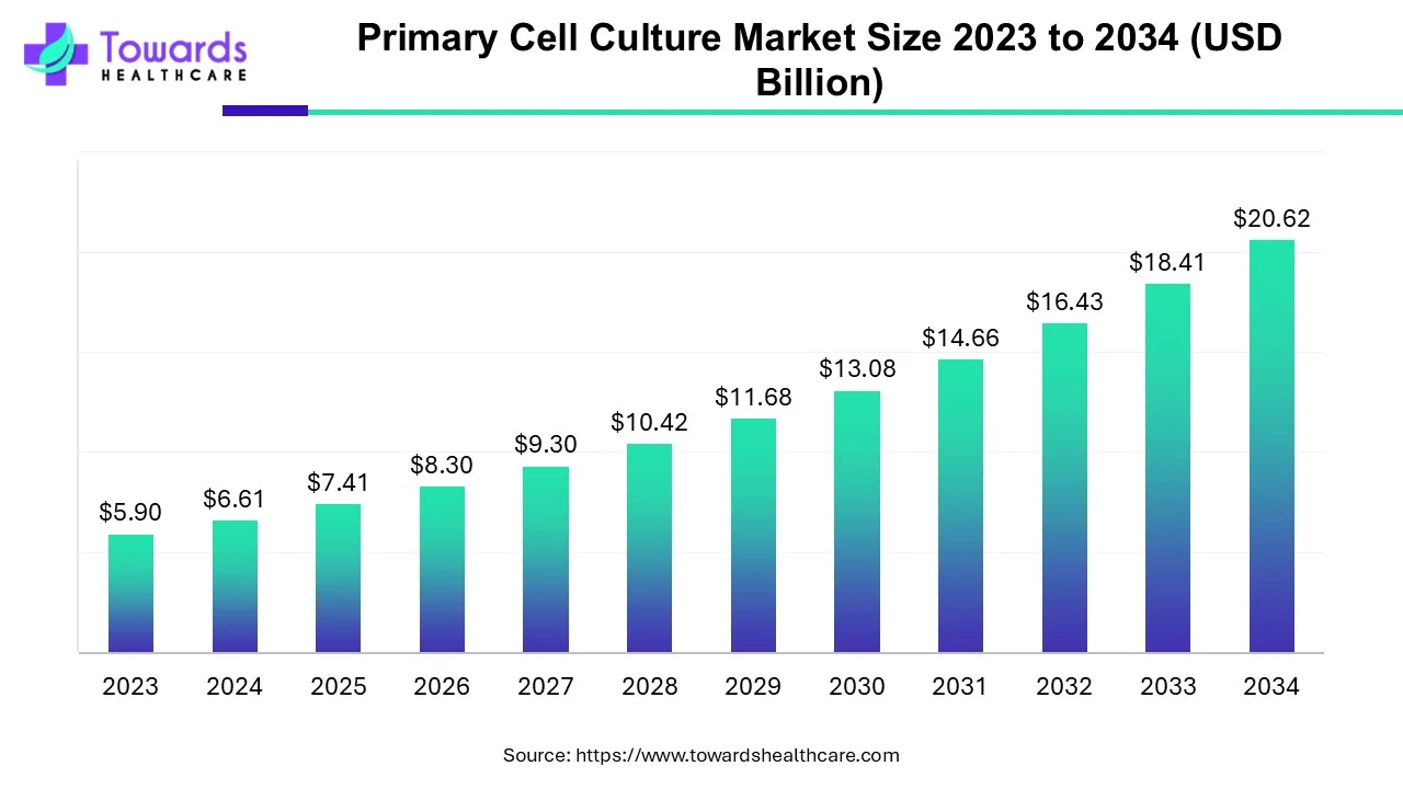 Primary Cell Culture Market Size 2023 - 2034