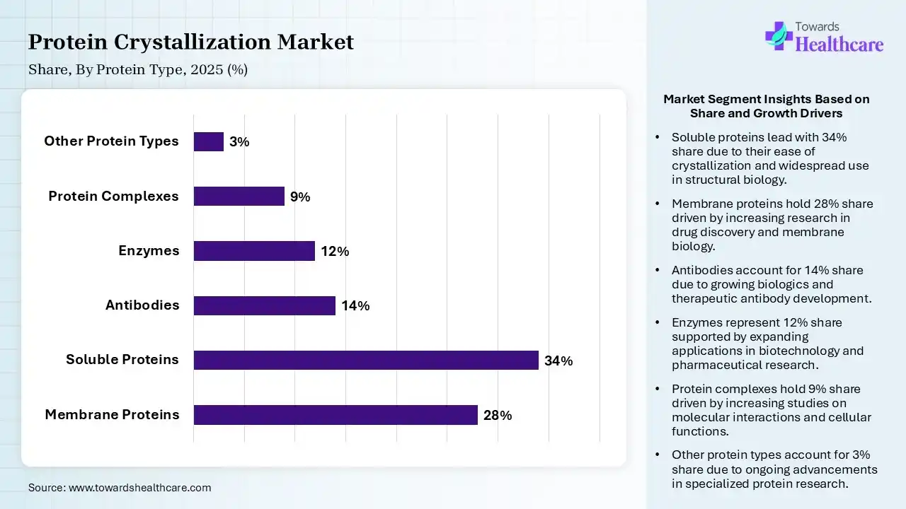 Protein Crystallization Market Share,By Protein Type, 2025 (%) Protein Crystallization Market By Protein Type, (Membrane Proteins) Segment Dominates by 28% in 2025