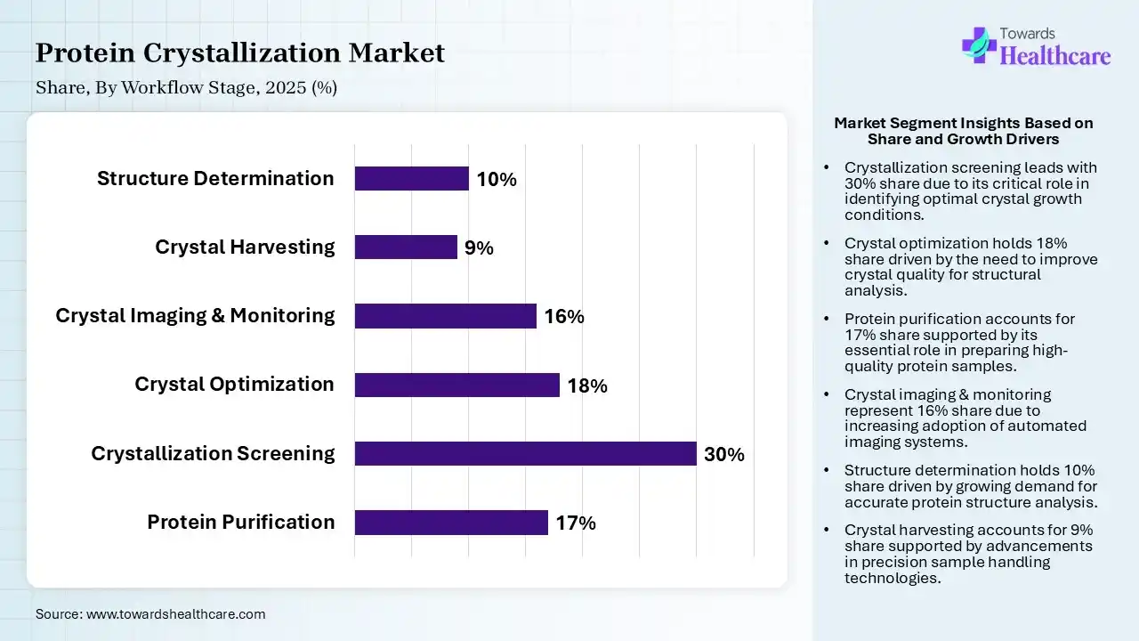 Protein Crystallization Market Share, By WorkflowS tage 2025 (%) Protein Crystallization Market By Workflow Stage, (Protein Purification) Segment Dominates by 17% in 2025