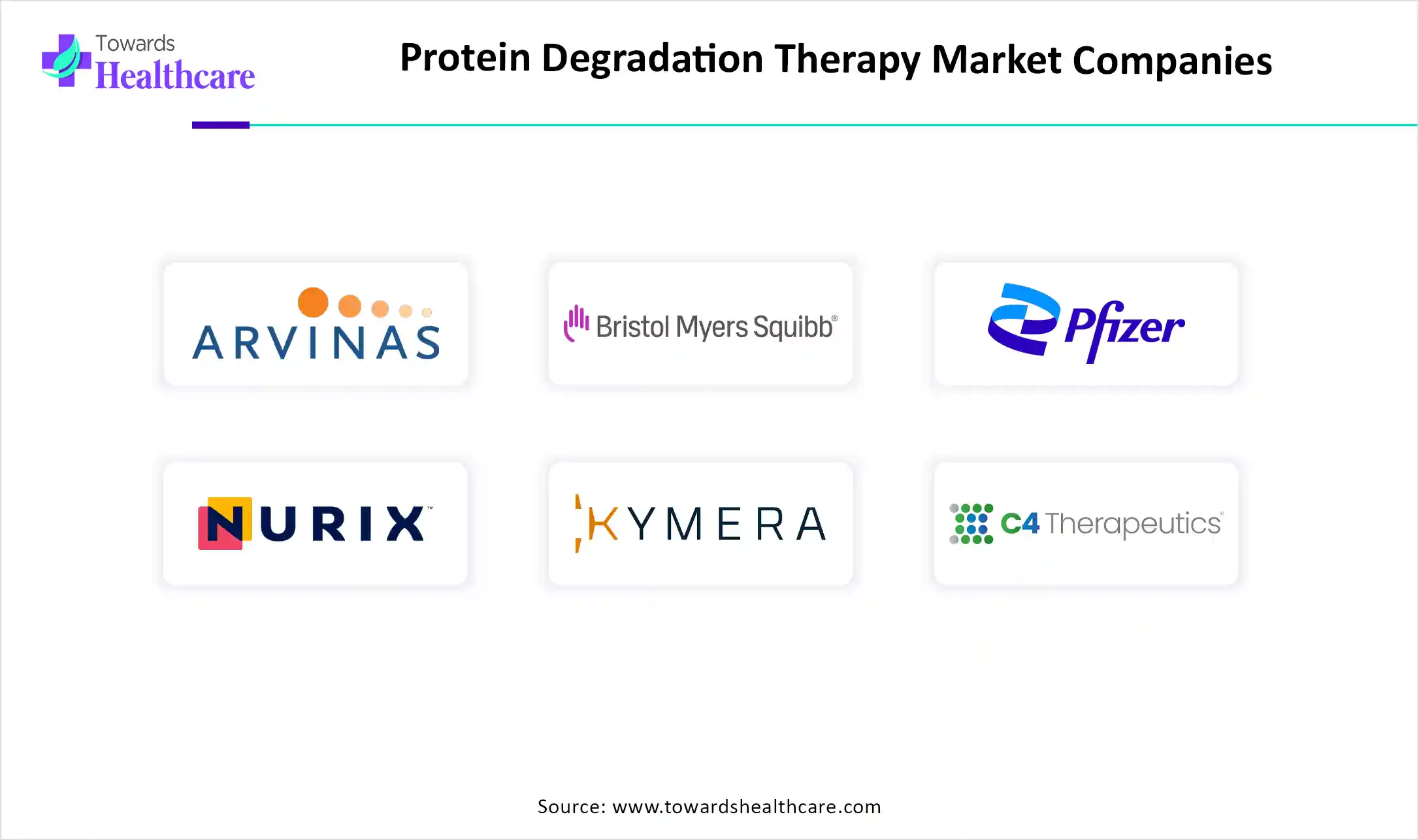 Protein Degradation Therapy Market Key Players